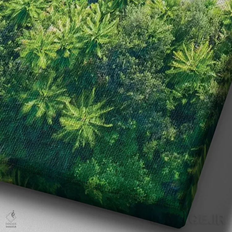 تابلو دکوراتیو جایی که جنگل به دریا می رسد شماره یک اثر جکسون رابرتز - نمای نزدیک بافت بوم