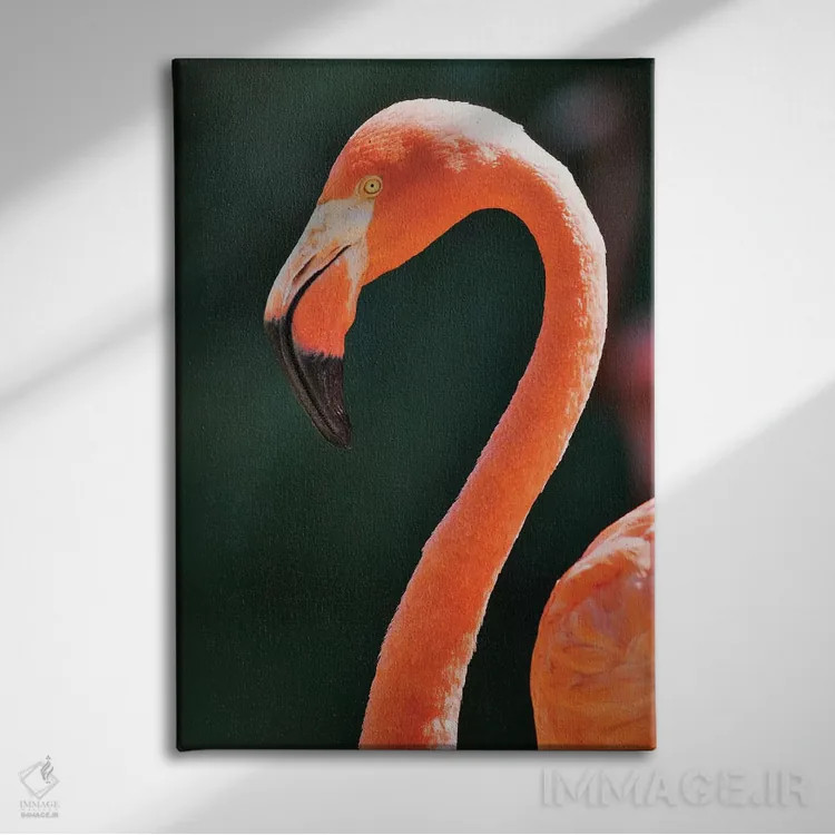 تابلو دکوراتیو California, Sacramento. Flamingo At Sacramento Zoo.,آمریکا… اثر جینز گالری - نمای روبهرو روی دیوار