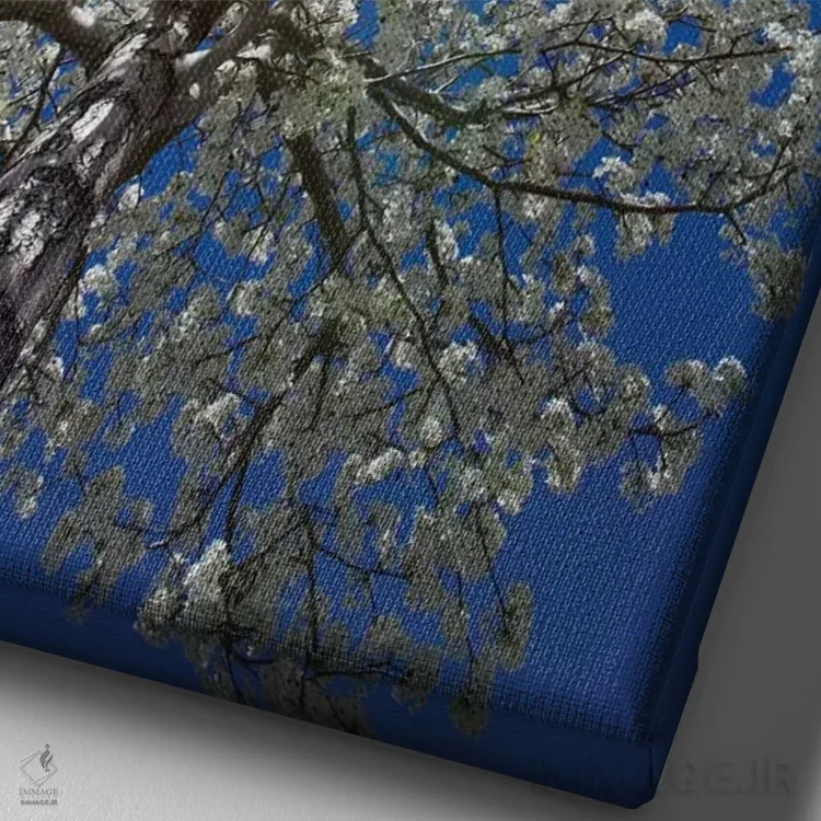 تابلو دکوراتیو California, Bishop. Flowering Pear Tree.,آمریکا، کالیفرنیا… اثر جینز گالری - نمای نزدیک بافت بوم