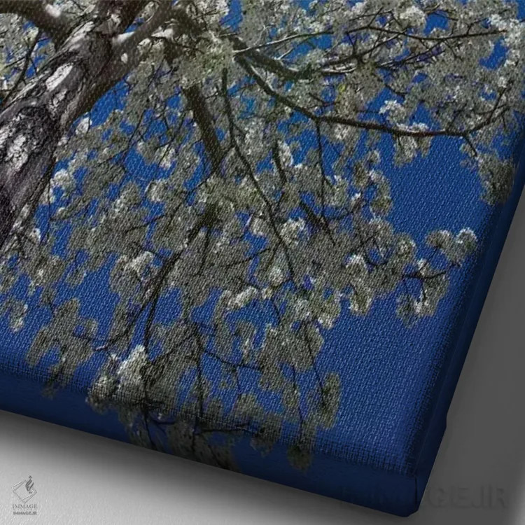 تابلو دکوراتیو California, Bishop. Flowering Pear Tree.,آمریکا، کالیفرنیا… اثر جینز گالری - نمای نزدیک بافت بوم