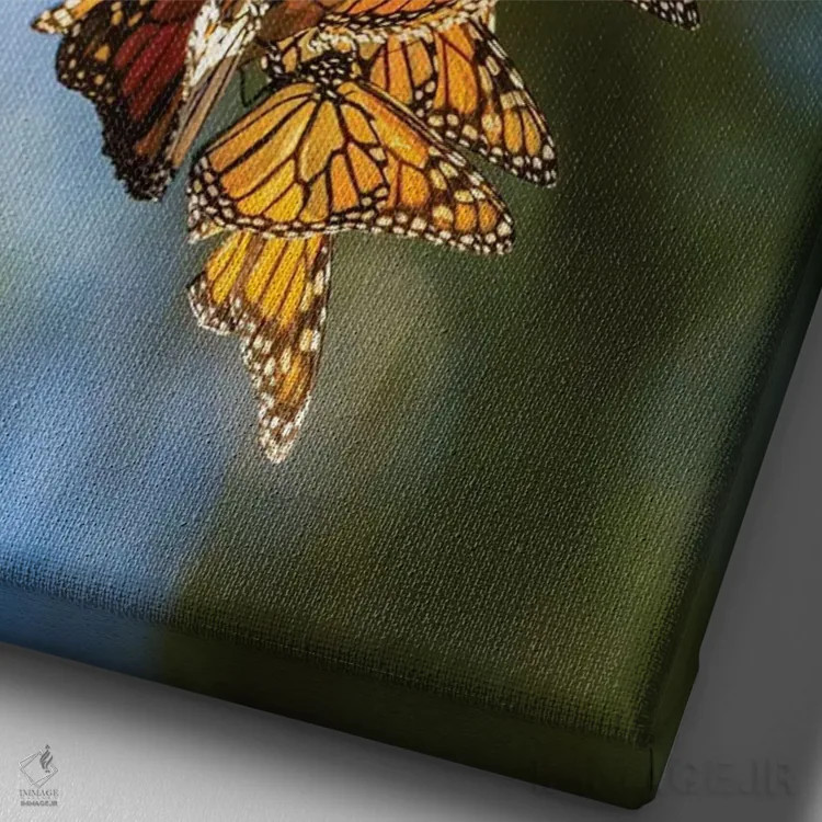 تابلو دکوراتیو California, San Luis Obispo County. Clustering Monarch Butte… اثر جینز گالری - نمای نزدیک بافت بوم