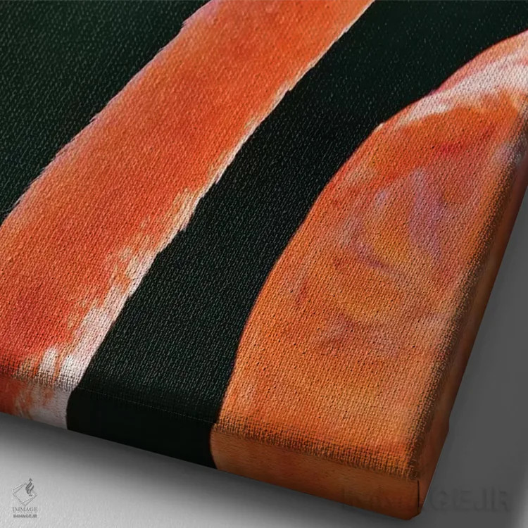 تابلو دکوراتیو California, Sacramento. Flamingo At Sacramento Zoo.,آمریکا… اثر جینز گالری - نمای نزدیک بافت بوم