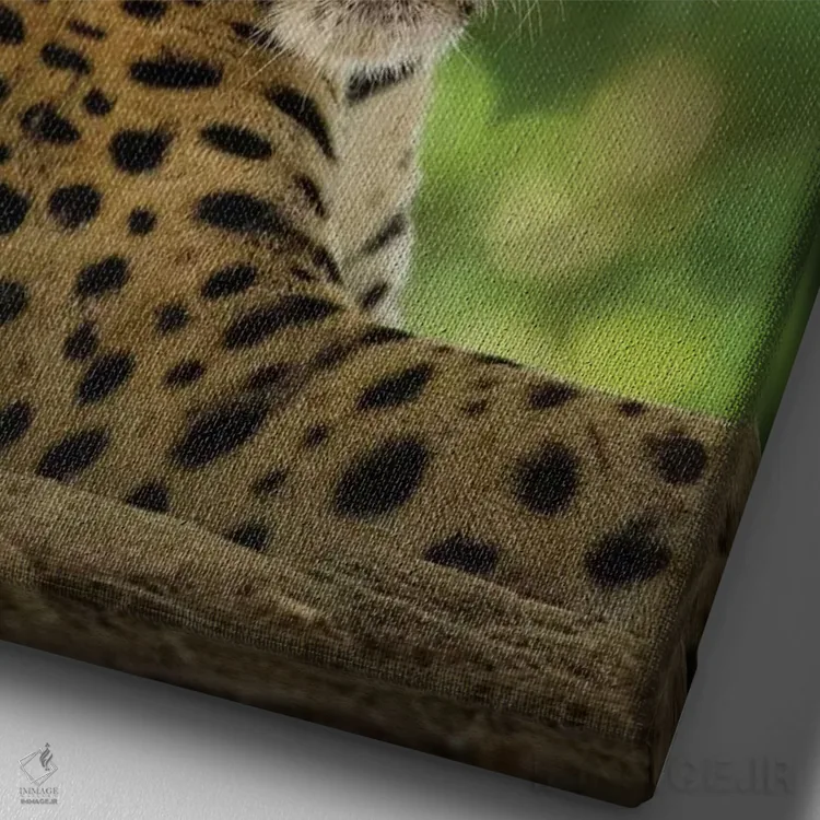 تابلو دکوراتیو Pantanal Conservation Area, Brazil,پرتره جگوار وحشی در حال ا… اثر جینز گالری - نمای نزدیک بافت بوم