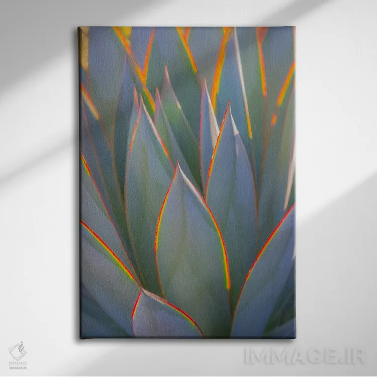 تابلو دکوراتیو California, Morro Bay. Backlit agave leaves.,آمریکا، کالیفرن… اثر جینز گالری - نمای روبهرو روی دیوار