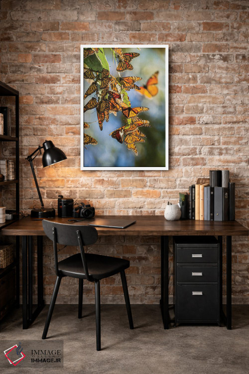 تابلو دکوراتیو California, San Luis Obispo County. Clustering Monarch Butte… اثر جینز گالری - D2W