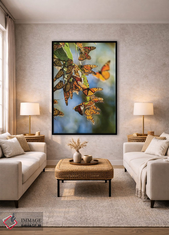 تابلو دکوراتیو California, San Luis Obispo County. Clustering Monarch Butte… اثر جینز گالری - D1B