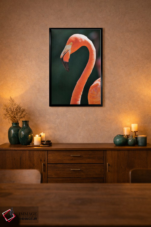 تابلو دکوراتیو California, Sacramento. Flamingo At Sacramento Zoo.,آمریکا… اثر جینز گالری - D1B