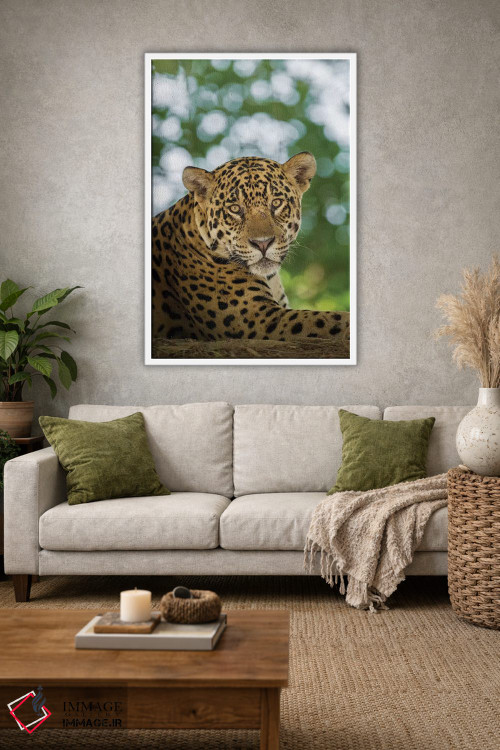 تابلو دکوراتیو Pantanal Conservation Area, Brazil,پرتره جگوار وحشی در حال ا… اثر جینز گالری - D1W