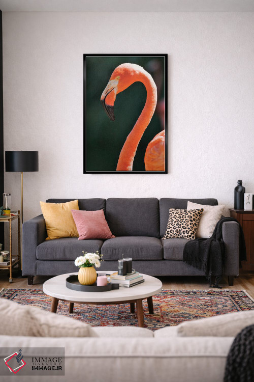 تابلو دکوراتیو California, Sacramento. Flamingo At Sacramento Zoo.,آمریکا… اثر جینز گالری - D3B