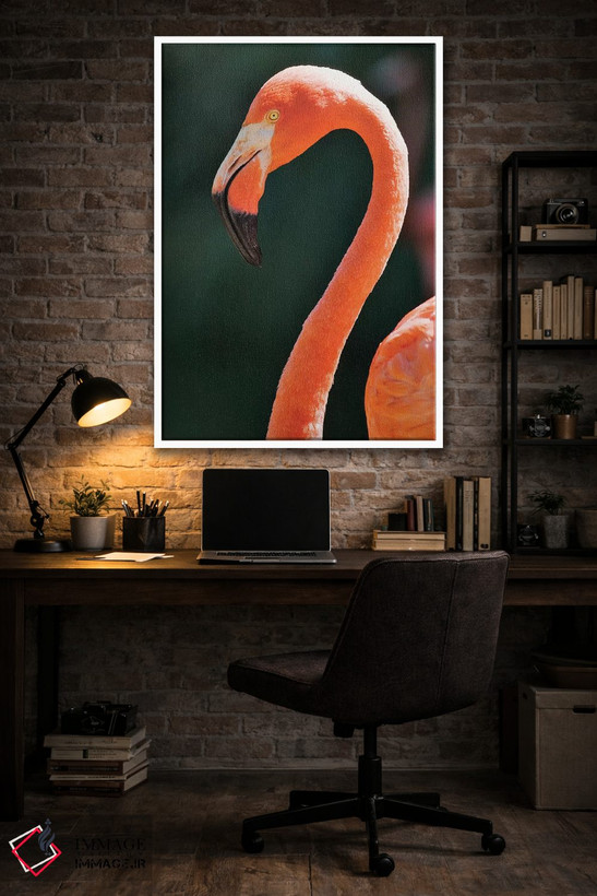 تابلو دکوراتیو California, Sacramento. Flamingo At Sacramento Zoo.,آمریکا… اثر جینز گالری - D2W