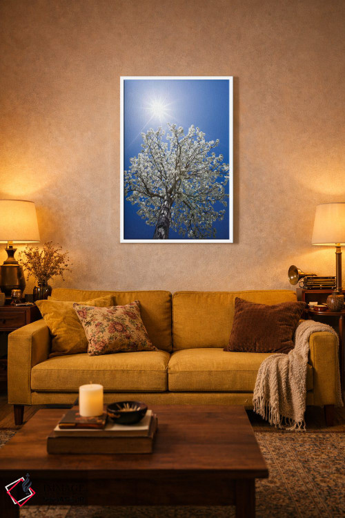 تابلو دکوراتیو California, Bishop. Flowering Pear Tree.,آمریکا، کالیفرنیا… اثر جینز گالری - D1W