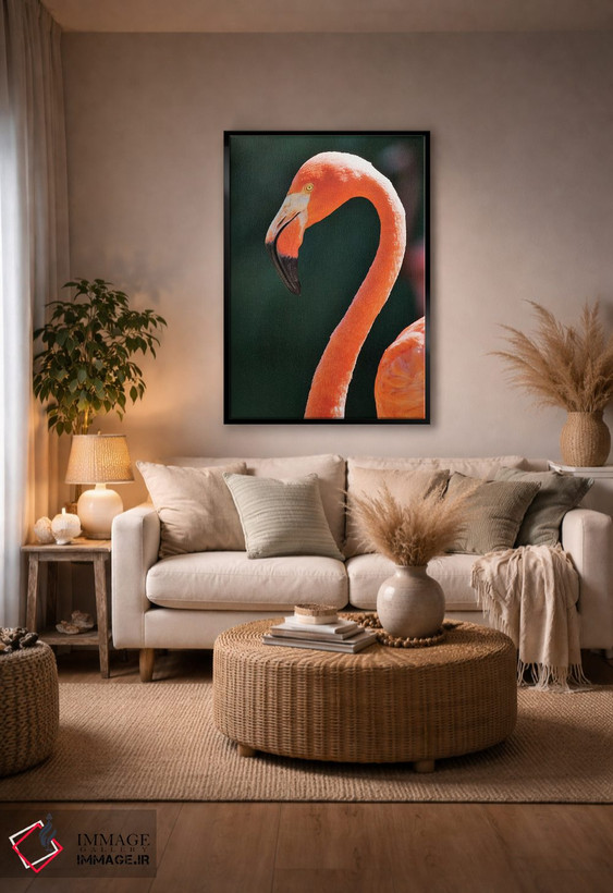 تابلو دکوراتیو California, Sacramento. Flamingo At Sacramento Zoo.,آمریکا… اثر جینز گالری - D4B