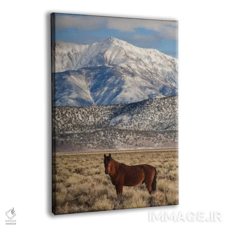 تابلو دکوراتیو California. White Mountains And Wild Mustang In Adobe Valley… اثر جینز گالری - نمای پرسپکتیو محصول