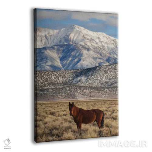 تابلو دکوراتیو California. White Mountains And Wild Mustang In Adobe Valley… اثر جینز گالری - نمای پرسپکتیو محصول