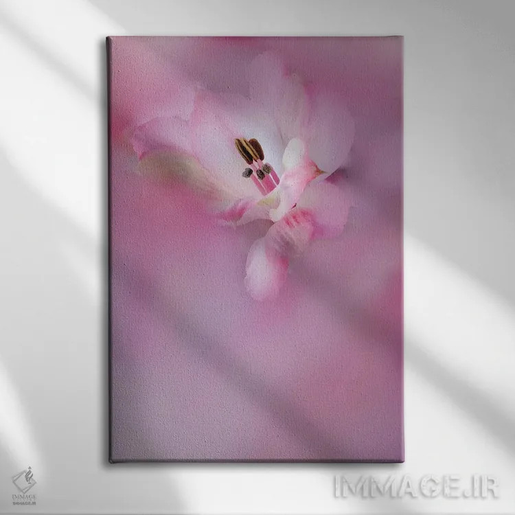 تابلو دکوراتیو California. Close-Up Of Alstroemeria Flower.,نمای نزدیک گل آ… اثر جینز گالری - نمای روبهرو روی دیوار
