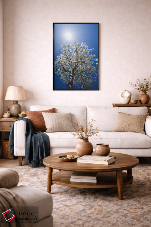 تابلو دکوراتیو California, Bishop. Flowering Pear Tree.,آمریکا، کالیفرنیا… اثر جینز گالری - D4B