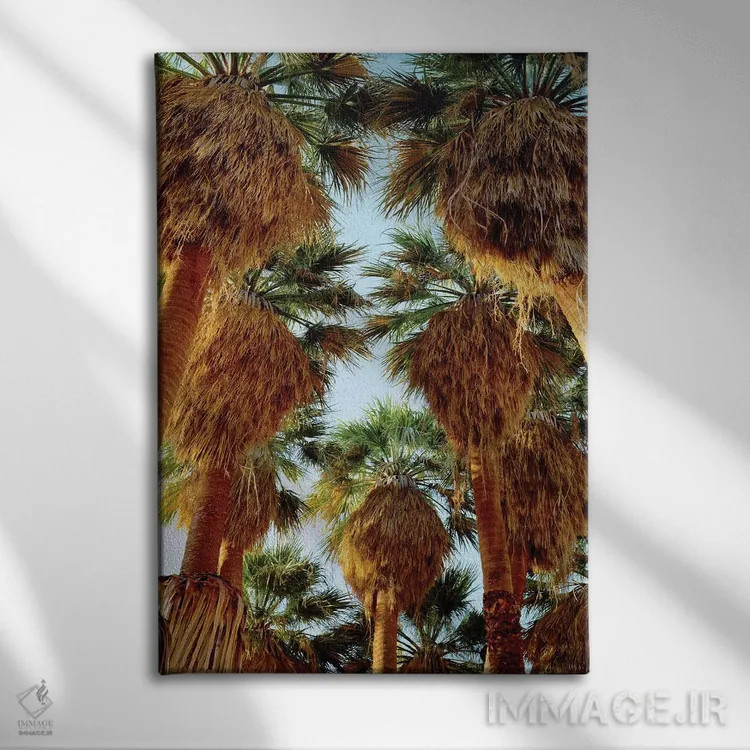 تابلو دکوراتیو California, Anza-Borrego Desert State Park. Native Fan Palm… اثر جینز گالری - نمای روبهرو روی دیوار