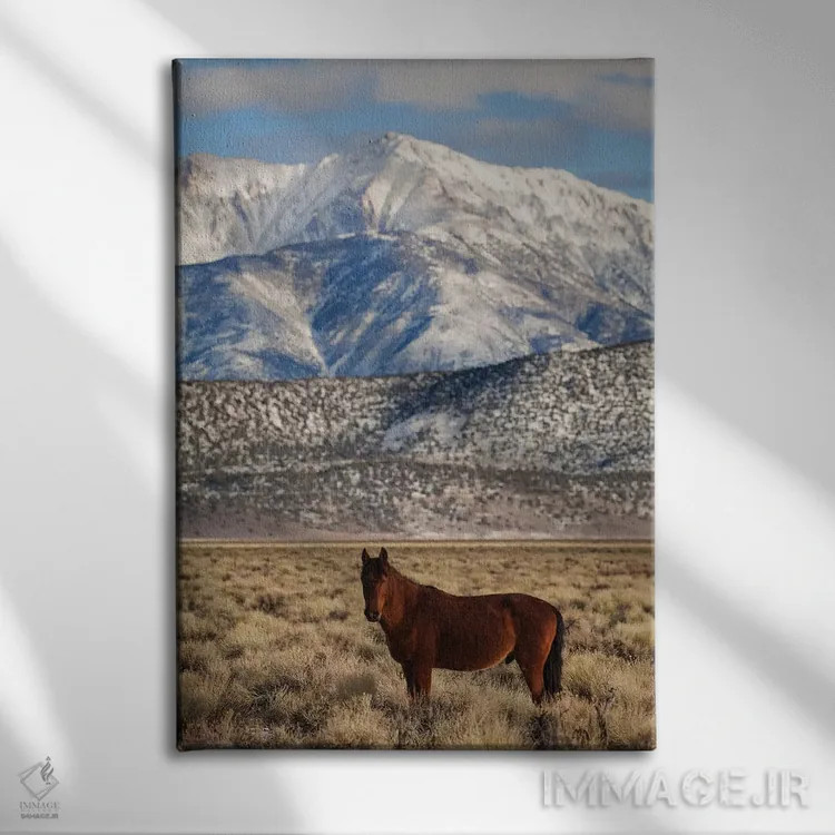 تابلو دکوراتیو California. White Mountains And Wild Mustang In Adobe Valley… اثر جینز گالری - نمای روبهرو روی دیوار