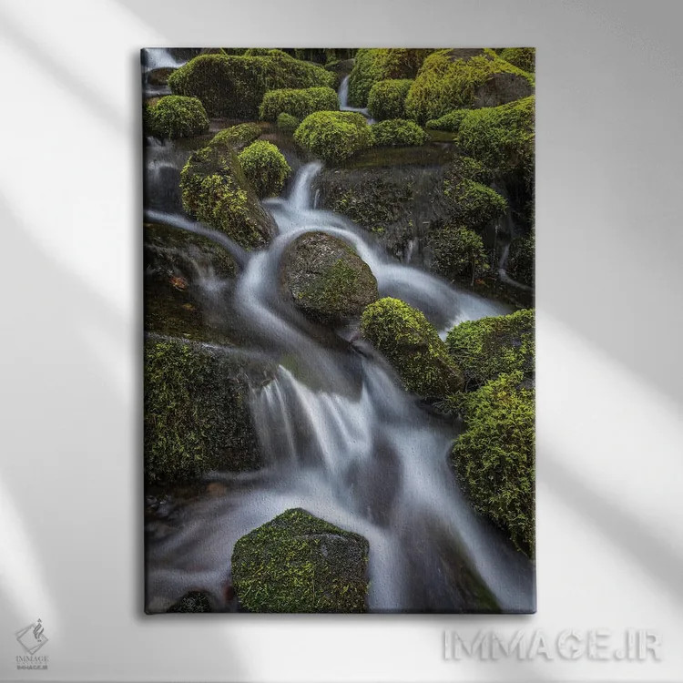 تابلو دکوراتیو Washington State, Olympic National Park. Cedar Creek scenic.… اثر جینز گالری - نمای روبهرو روی دیوار