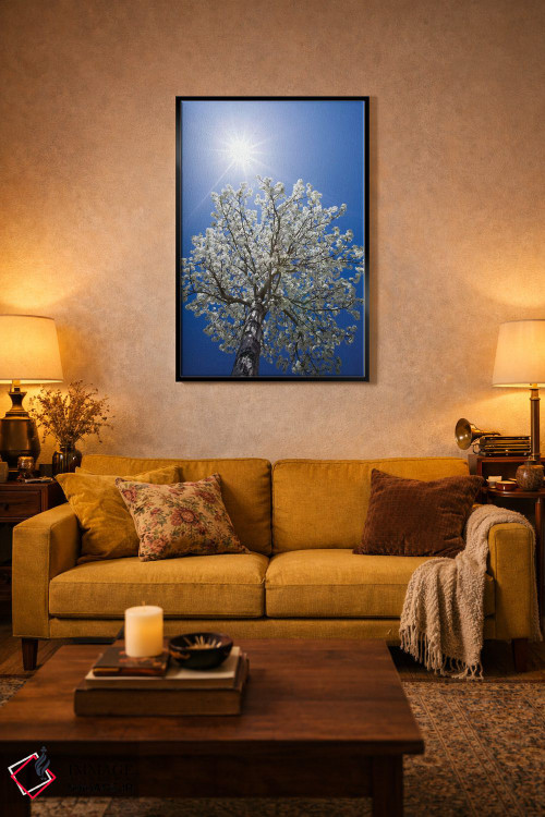 تابلو دکوراتیو California, Bishop. Flowering Pear Tree.,آمریکا، کالیفرنیا… اثر جینز گالری - D6B