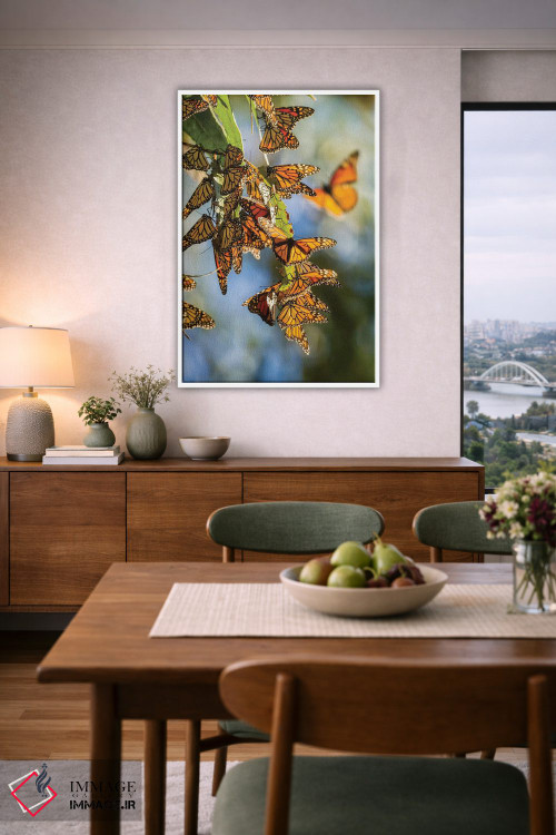 تابلو دکوراتیو California, San Luis Obispo County. Clustering Monarch Butte… اثر جینز گالری - D6W