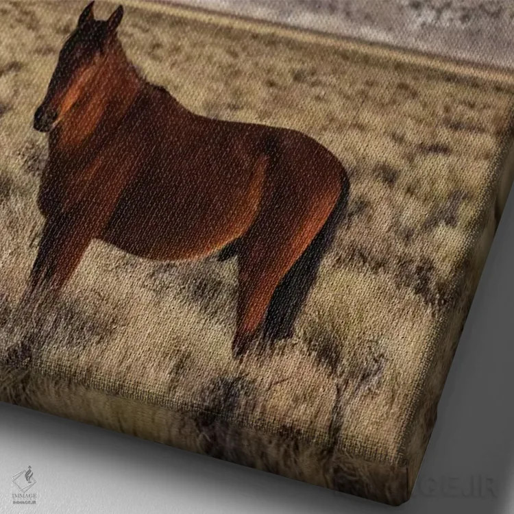 تابلو دکوراتیو California. White Mountains And Wild Mustang In Adobe Valley… اثر جینز گالری - نمای نزدیک بافت بوم