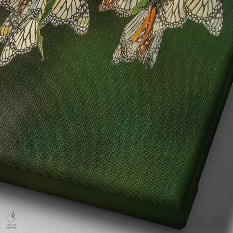تابلو دکوراتیو California, San Luis Obispo County. Monarch butterflies in w… اثر جینز گالری - نمای نزدیک بافت بوم