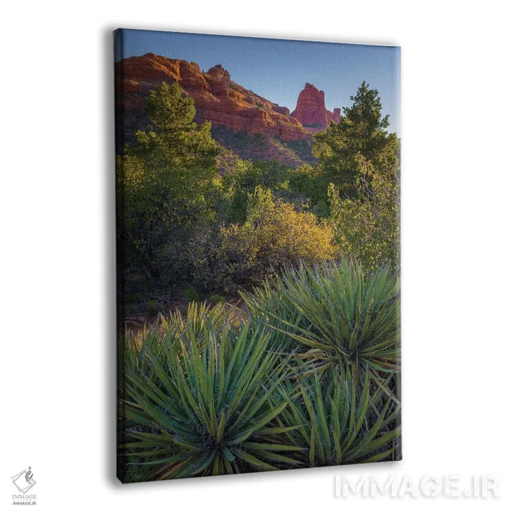 تابلو دکوراتیو Arizona, Sedona. Landscape with rock formation and cacti.,چش… اثر جینز گالری - نمای پرسپکتیو محصول