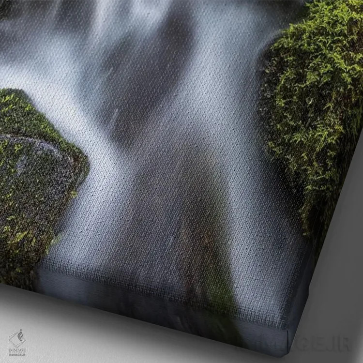 تابلو دکوراتیو Washington State, Olympic National Park. Cedar Creek scenic.… اثر جینز گالری - نمای نزدیک بافت بوم