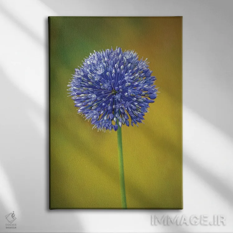 تابلو دکوراتیو Colorado, Fort Collins. Blue Allium Flower Close-Up.,نمای نز… اثر جینز گالری - نمای روبهرو روی دیوار