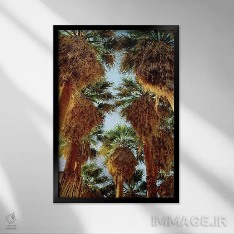 تابلو دکوراتیو California, Anza-Borrego Desert State Park. Native Fan Palm… اثر جینز گالری - نمای قابدار مشکی