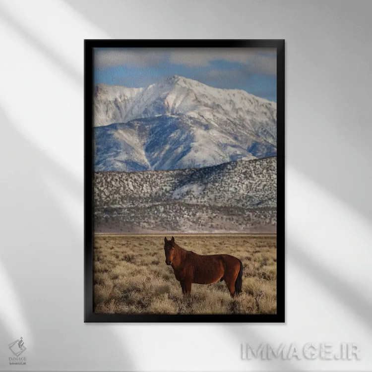 تابلو دکوراتیو California. White Mountains And Wild Mustang In Adobe Valley… اثر جینز گالری - نمای قابدار مشکی