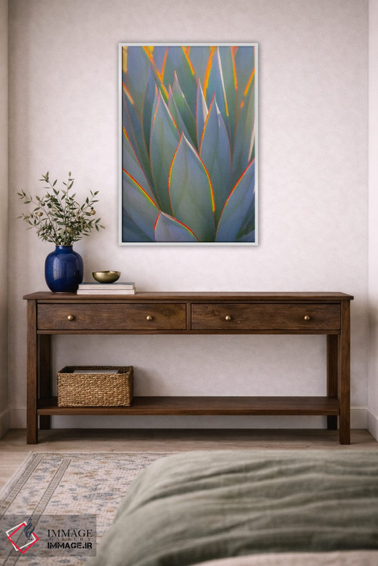 تابلو دکوراتیو California, Morro Bay. Backlit agave leaves.,آمریکا، کالیفرن… اثر جینز گالری - D2W
