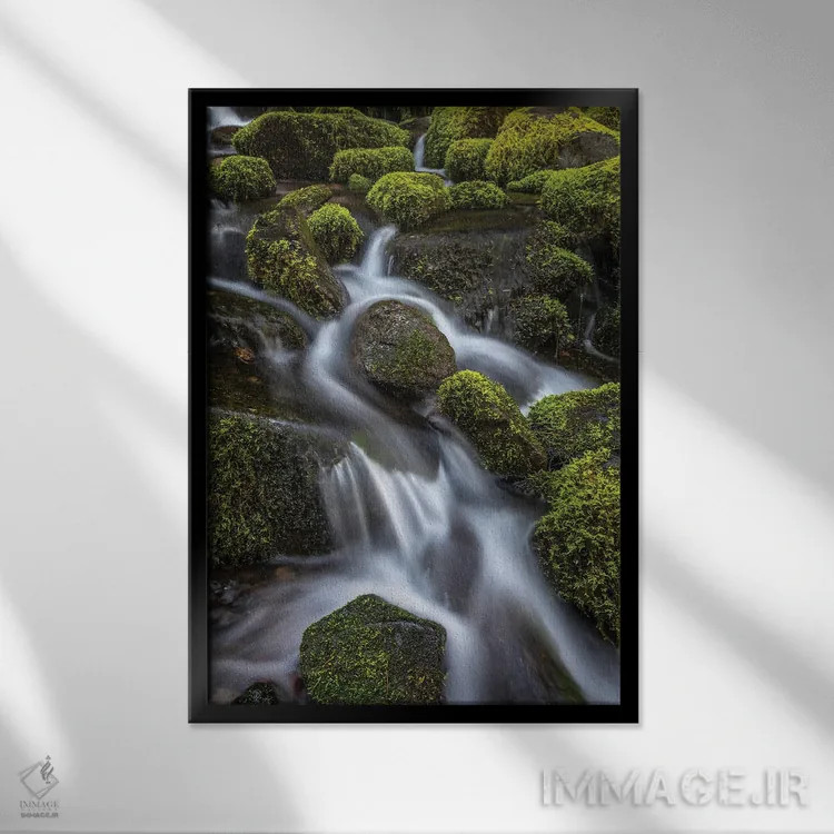تابلو دکوراتیو Washington State, Olympic National Park. Cedar Creek scenic.… اثر جینز گالری - نمای قابدار مشکی