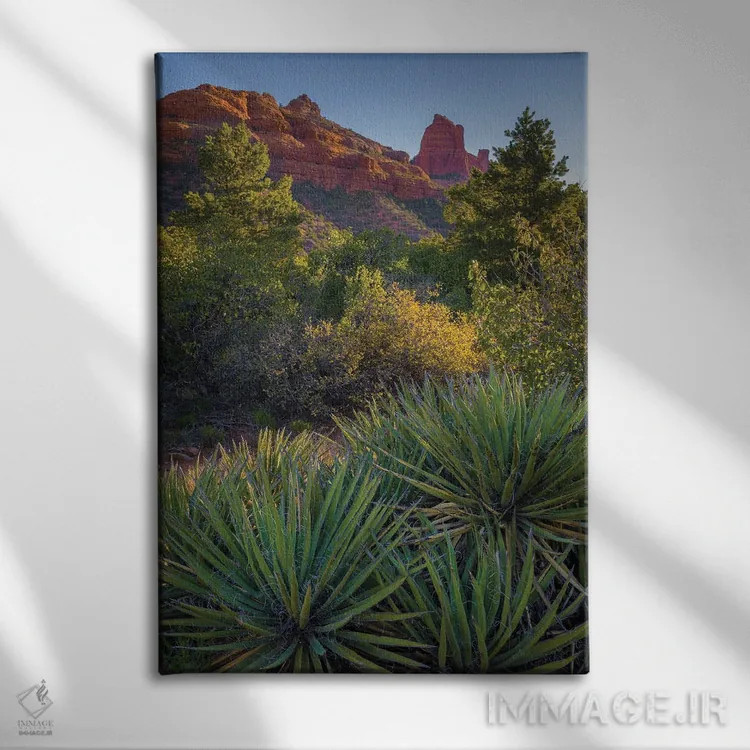 تابلو دکوراتیو Arizona, Sedona. Landscape with rock formation and cacti.,چش… اثر جینز گالری - نمای روبهرو روی دیوار