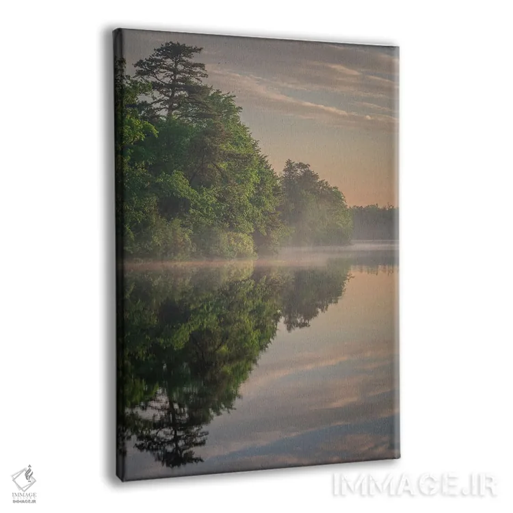 تابلو دکوراتیو New Jersey, Pinelands National Reserve. Sunrise Reflections… اثر جینز گالری - نمای پرسپکتیو محصول