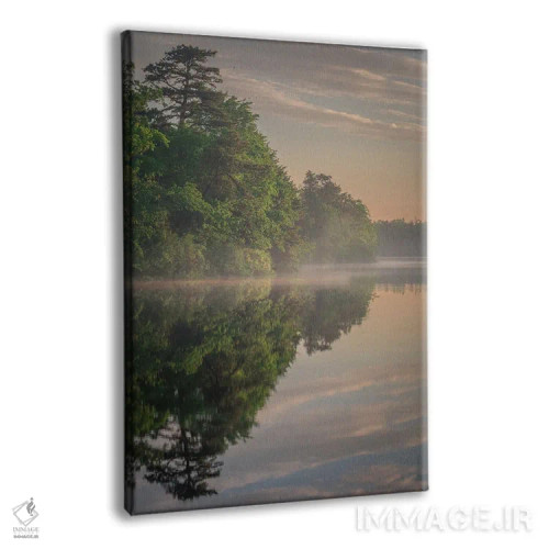 تابلو دکوراتیو New Jersey, Pinelands National Reserve. Sunrise Reflections… اثر جینز گالری - نمای پرسپکتیو محصول