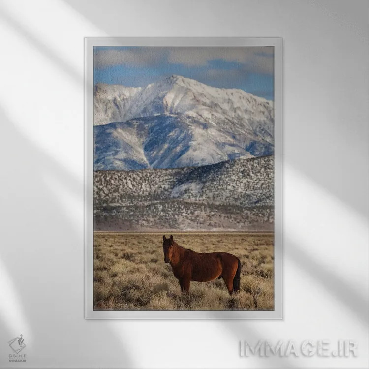 تابلو دکوراتیو California. White Mountains And Wild Mustang In Adobe Valley… اثر جینز گالری - نمای قابدار سفید
