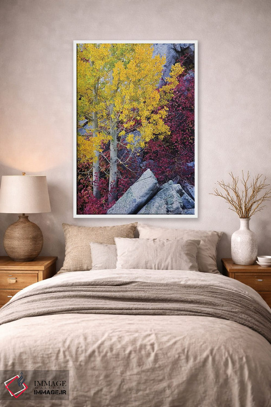 تابلو دکوراتیو California, Sierra Nevada Mountains. Mountain Dogwood And As… اثر جینز گالری - D1W