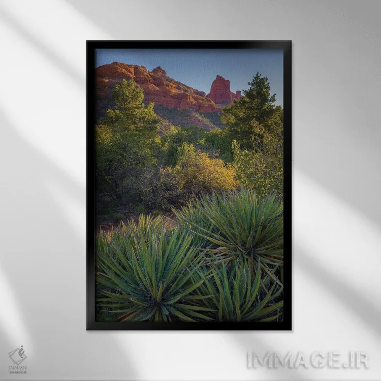 تابلو دکوراتیو Arizona, Sedona. Landscape with rock formation and cacti.,چش… اثر جینز گالری - نمای قابدار مشکی