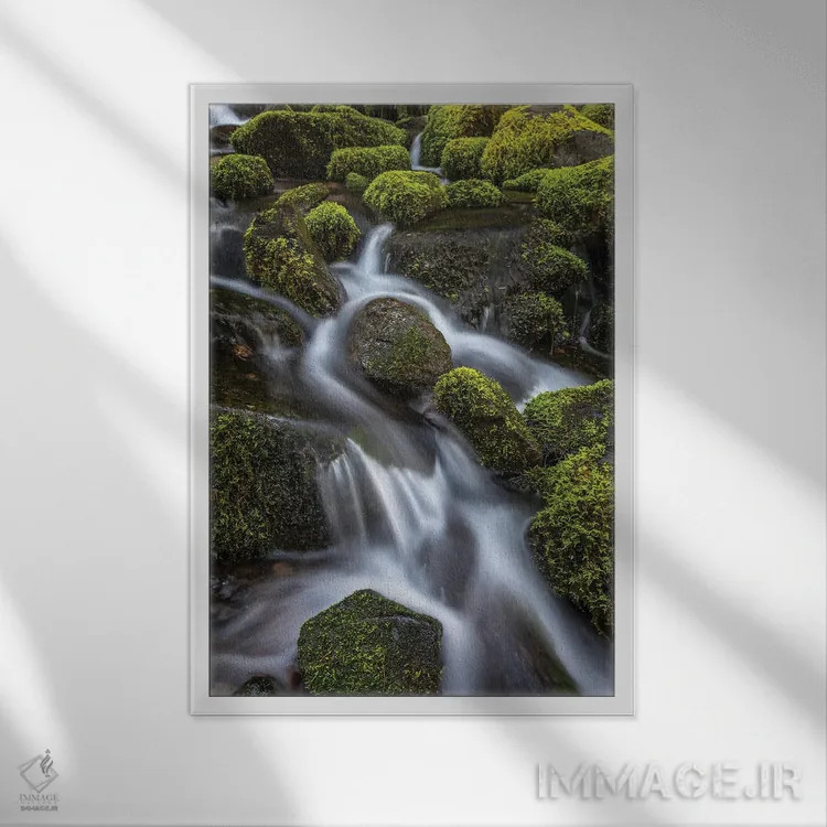 تابلو دکوراتیو Washington State, Olympic National Park. Cedar Creek scenic.… اثر جینز گالری - نمای قابدار سفید