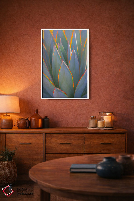 تابلو دکوراتیو California, Morro Bay. Backlit agave leaves.,آمریکا، کالیفرن… اثر جینز گالری - D3W