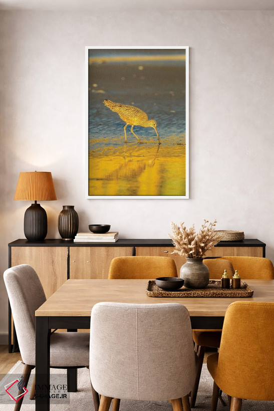 تابلو دکوراتیو California, San Luis Obispo County. Long-Billed Curlew Feedi… اثر جینز گالری - D3W