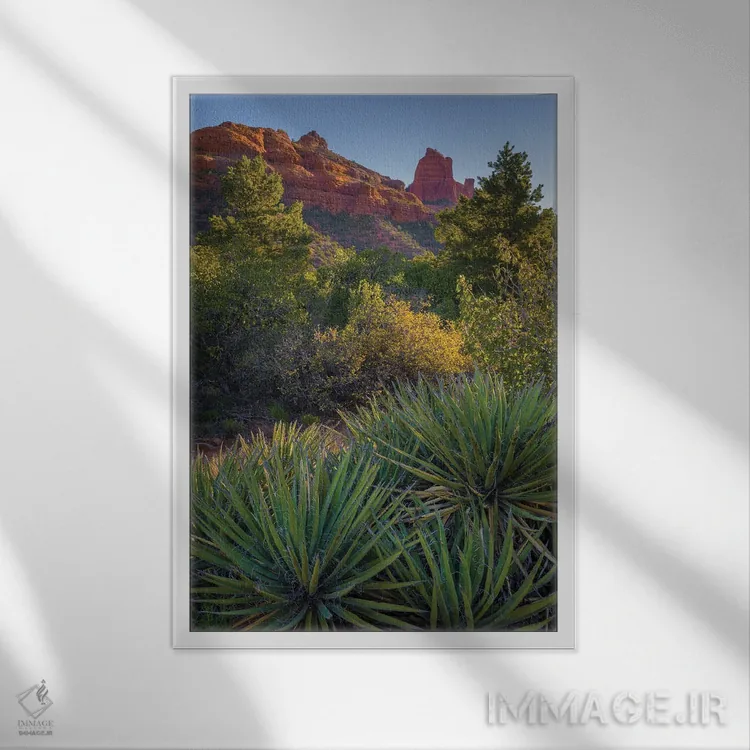 تابلو دکوراتیو Arizona, Sedona. Landscape with rock formation and cacti.,چش… اثر جینز گالری - نمای قابدار سفید