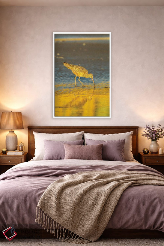 تابلو دکوراتیو California, San Luis Obispo County. Long-Billed Curlew Feedi… اثر جینز گالری - D2W