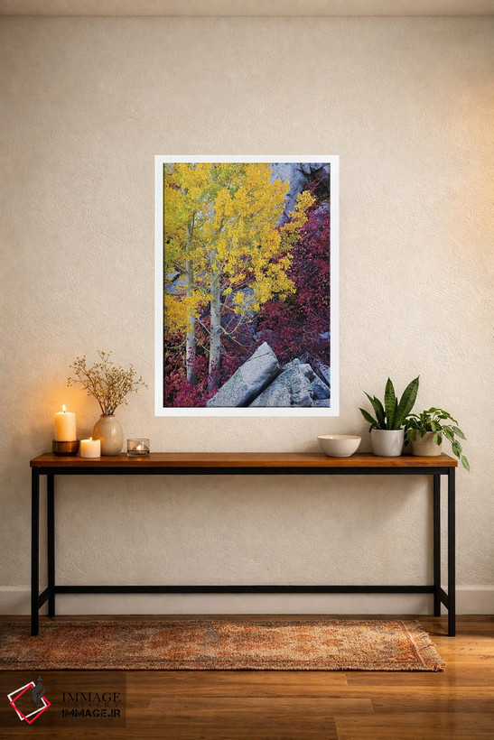 تابلو دکوراتیو California, Sierra Nevada Mountains. Mountain Dogwood And As… اثر جینز گالری - D2W