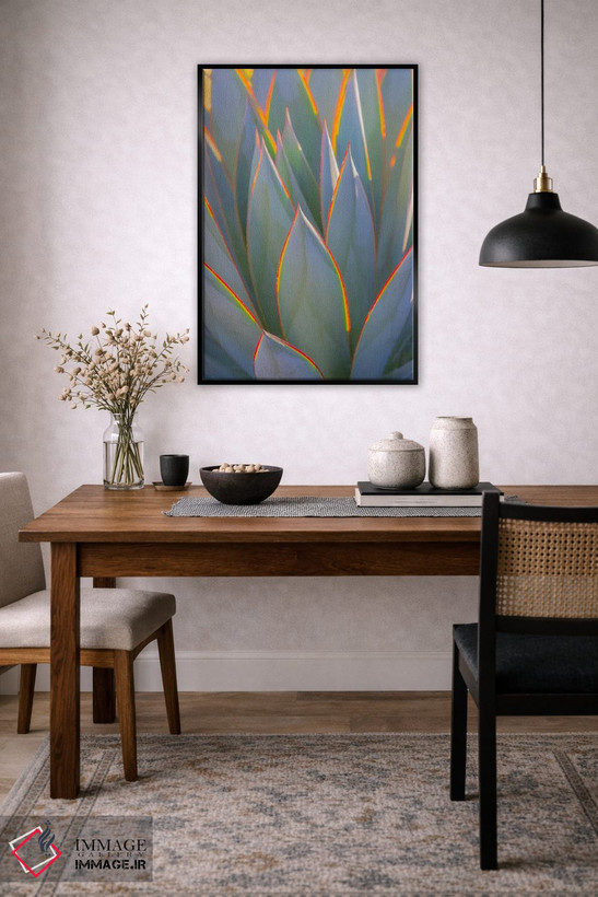 تابلو دکوراتیو California, Morro Bay. Backlit agave leaves.,آمریکا، کالیفرن… اثر جینز گالری - D5B