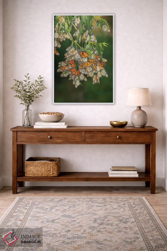 تابلو دکوراتیو California, San Luis Obispo County. Monarch butterflies in w… اثر جینز گالری - D2W