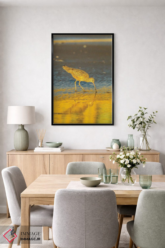 تابلو دکوراتیو California, San Luis Obispo County. Long-Billed Curlew Feedi… اثر جینز گالری - D5B
