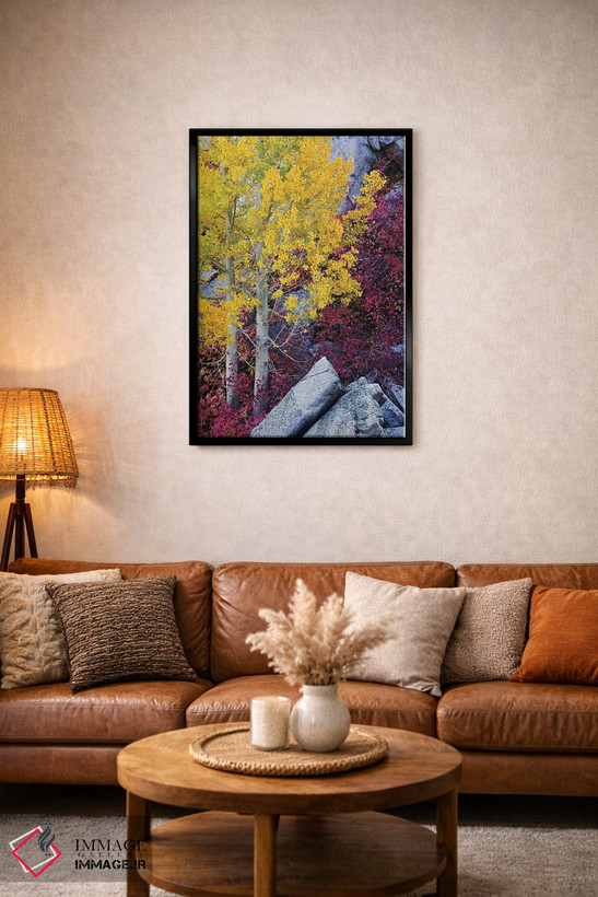 تابلو دکوراتیو California, Sierra Nevada Mountains. Mountain Dogwood And As… اثر جینز گالری - D3B